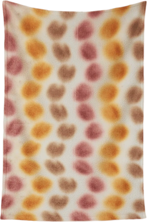 Plush Fleece Blanket 300 GSM